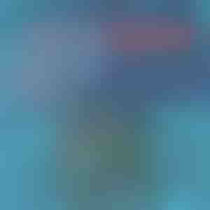 Brzosušeće kupaće hlače | TOGGIES