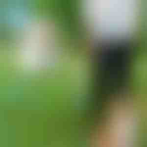 Povodac za pse bez ruku | CROSSLEASH