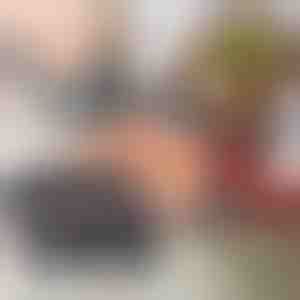 Kandže za meso | CLAWMASTER