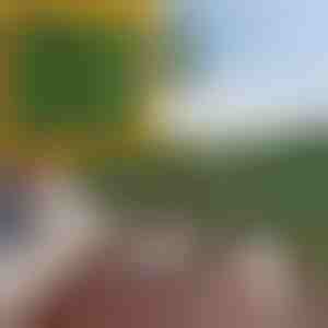 Panel za privatnost s umjetnim lišćem | LEAFPANEL