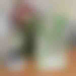 Chic akrilna vaza za cvijeće u obliku knjige | FLOWERFRAME