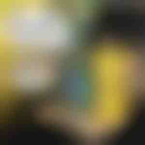 Dječji poslužavnik automobil | MUNCHI