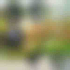 4 u 1 vrtni alat | VERSAX