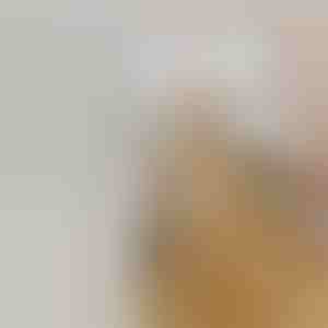 Punjiva četka na paru za linjanje kućnih ljubimaca | GROOMSY