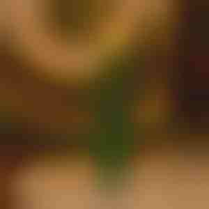 Blagdanska svijeća bez plamena koja treperi | CANDLETREE