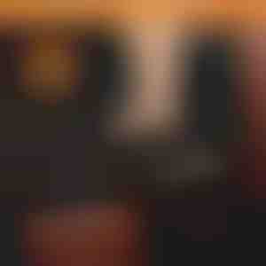 Vodootporna navlaka za stražnje sjedalo automobila za pse | CARIPET