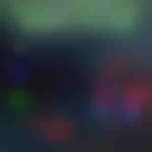 Stražnje svjetlo s projekcijom za bicikl | BIKELITE