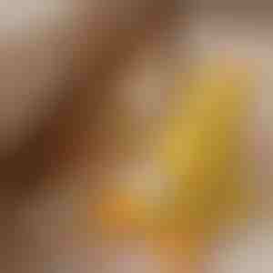 Umirujuća plišana igračka za pse sa zvukom kvakanja - smanjuje tjeskobu odvajanja | CALMQUA